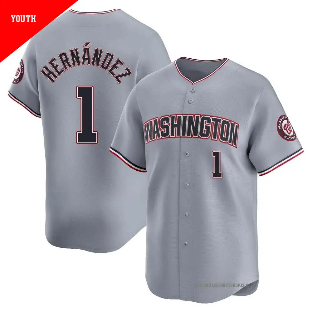 Wsh Nationals Grey Jersey Men's Washington Nationals Nike Gray